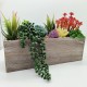 Plants Wooden Pots 